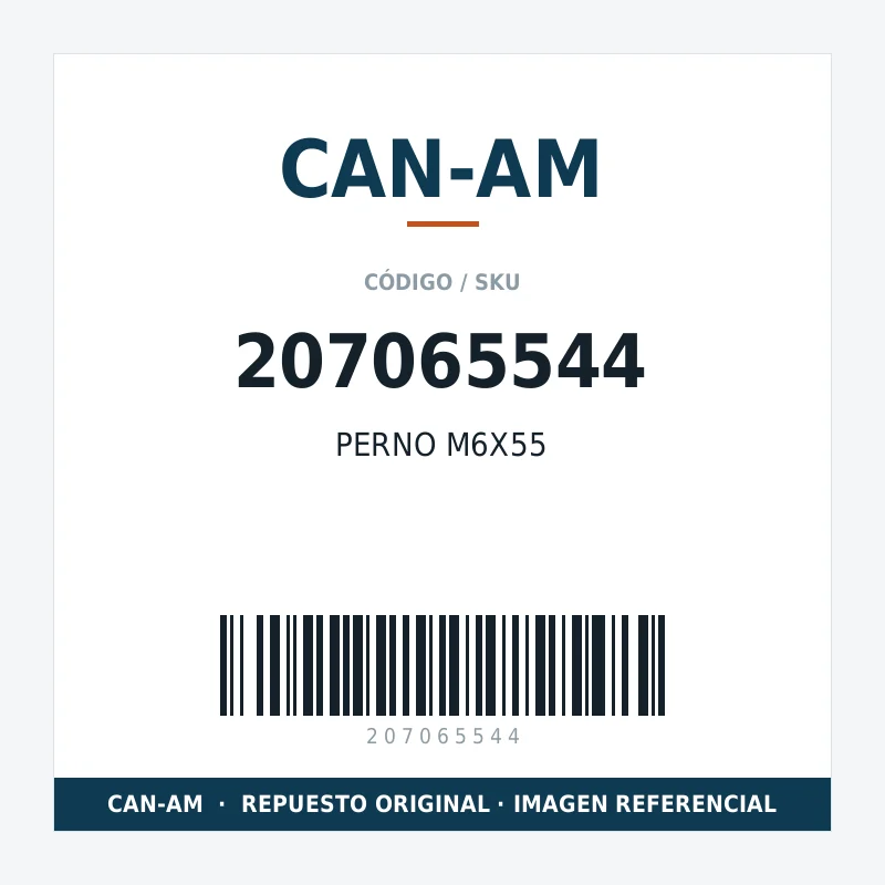 PERNO M6X55 CAN-AM 207065544