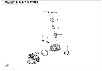 Sistema de inyección de combustible